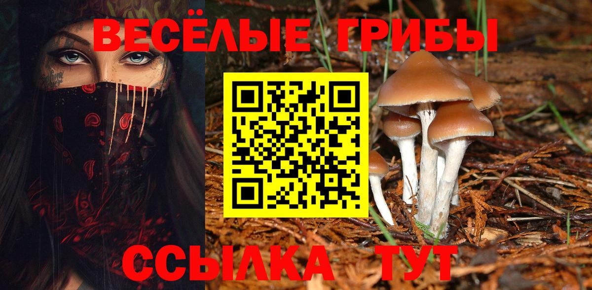 Тобольск  Псилоцибиновые грибы прущие грибы  Вход с VPN 