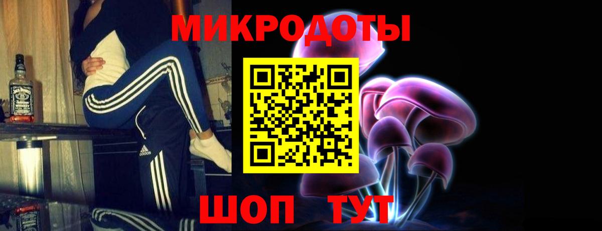 Псилоцибиновые грибы Psilocybe Тобольск